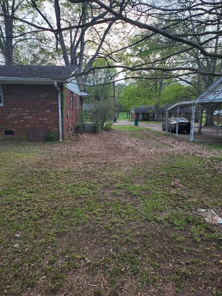 Reliable landscaping services in Jackson, TN - Tv Lawn Care And More