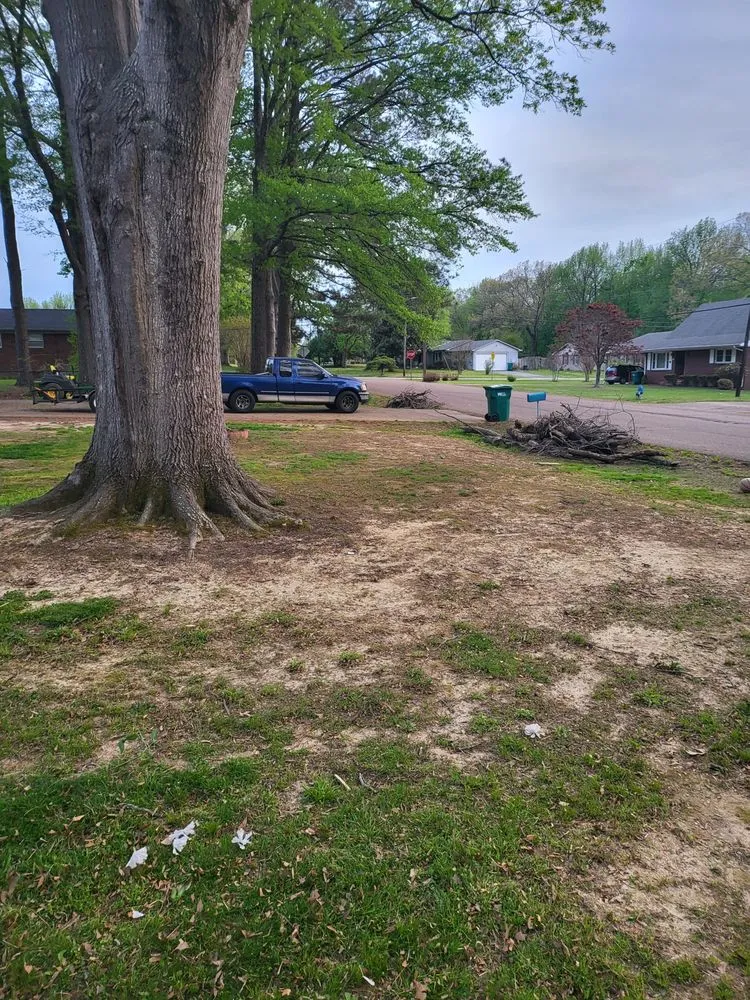 Affordable outdoor landscaping for year-round maintenance across Jackson, TN - Tv Lawn Care And More