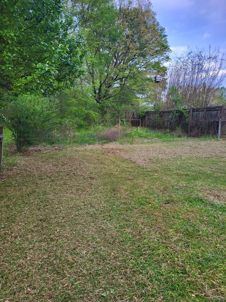 Reliable lawn care service near you in Jackson, TN by Tv Lawn Care And More