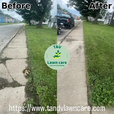 T&V Lawn care Logo