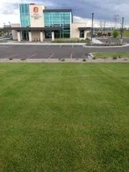 Expert lawn care service in Billings, MT by Tvetene Turf