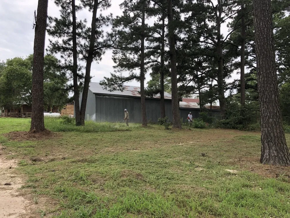 Expert lawn mowing service in Bastrop, TX by TW Field & Lawn