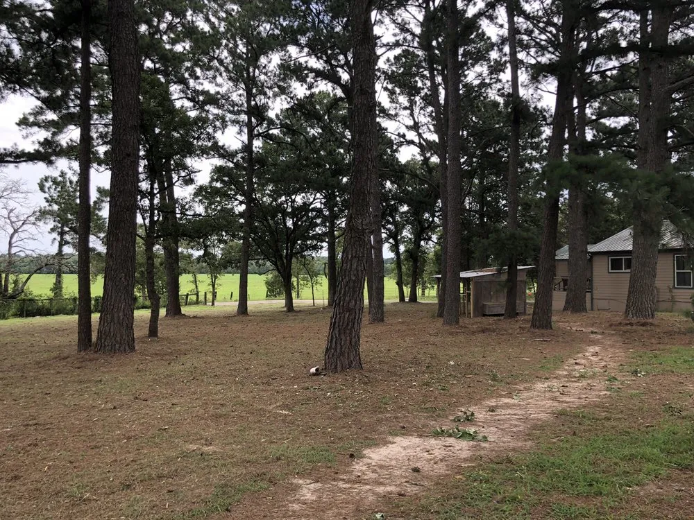 Reliable landscape installation in Bastrop, TX - TW Field & Lawn