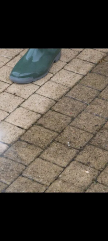 Local landscape installation in Covington, GA by TW Landscape & Pressure Washing