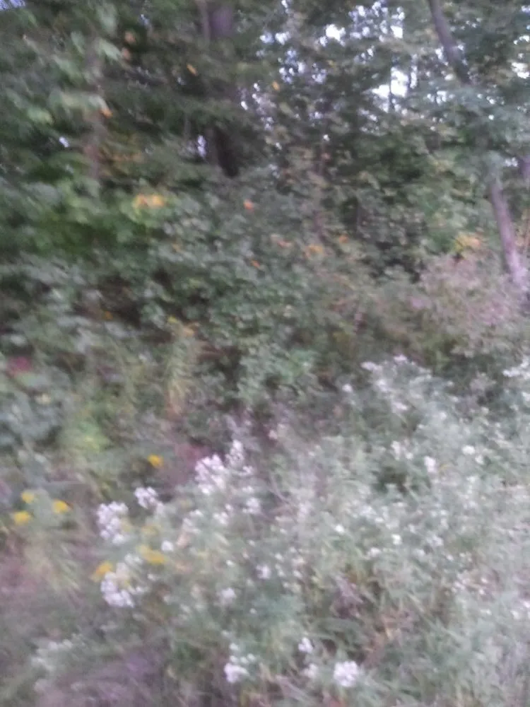 Top-rated garden landscaping for year-round maintenance across Youngstown, OH - TW Landscaping & Grass Cutting