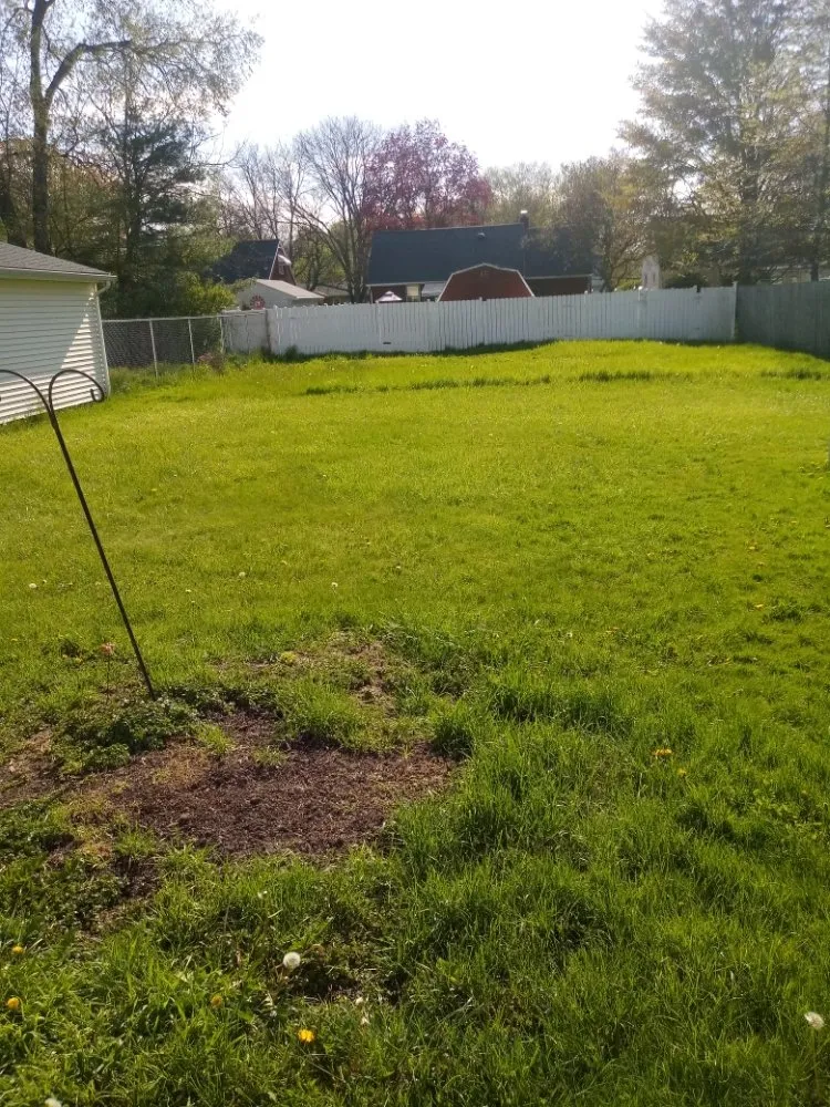 Affordable yard cleanup service for outdoor upgrades in Youngstown, OH by TW Landscaping & Grass Cutting