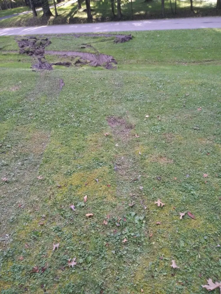 Top-rated yard cleanup service in Youngstown, OH - TW Landscaping & Grass Cutting