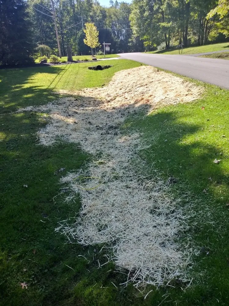 Top-rated lawn mowing service in Youngstown, OH by TW Landscaping & Grass Cutting