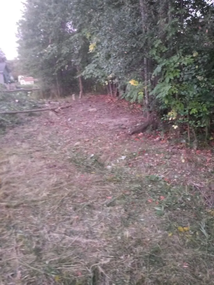 Top-rated yard cleanup service experts serving Youngstown, OH - TW Landscaping & Grass Cutting