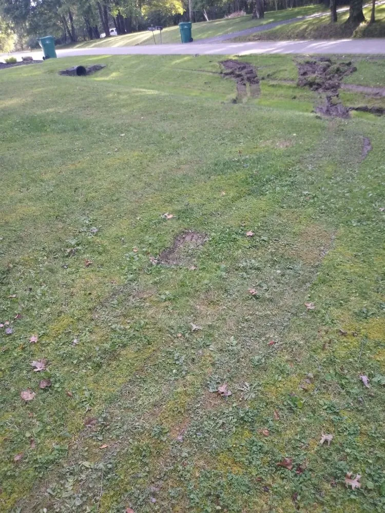 Top-rated yard maintenance for homes in Youngstown, OH by TW Landscaping & Grass Cutting