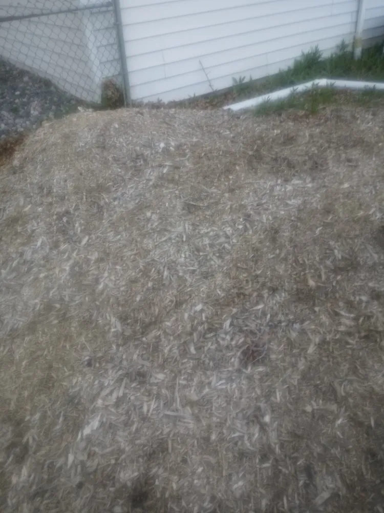 Trusted landscape design for beautiful yards in Youngstown, OH by TW Landscaping & Grass Cutting