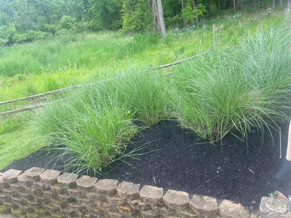 Professional yard cleanup service for beautiful yards in Baltimore, OH by TW Landscaping