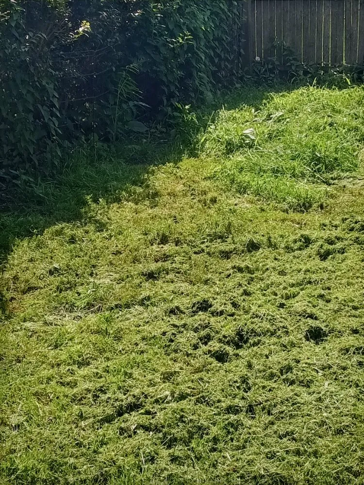 Custom residential landscaping for year-round maintenance in Buffalo, NY by Tw Landscaping