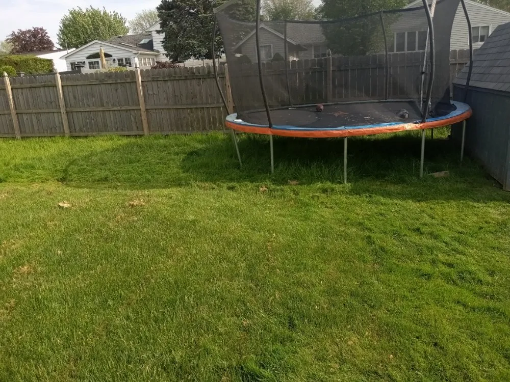 Professional landscaping services in Buffalo, NY by Tw Landscaping