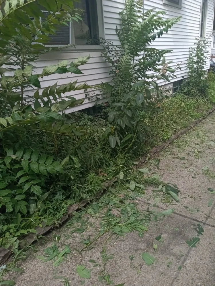 Affordable landscape design in Buffalo, NY by Tw Landscaping