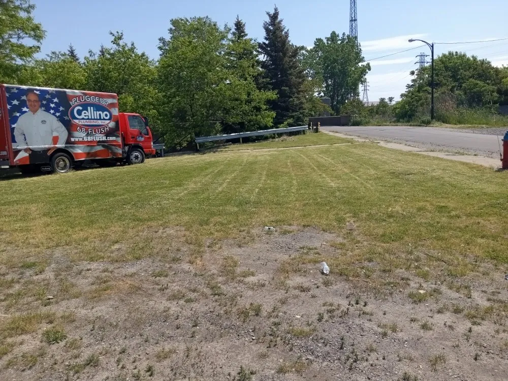 Trusted yard maintenance in Buffalo, NY by Tw Landscaping