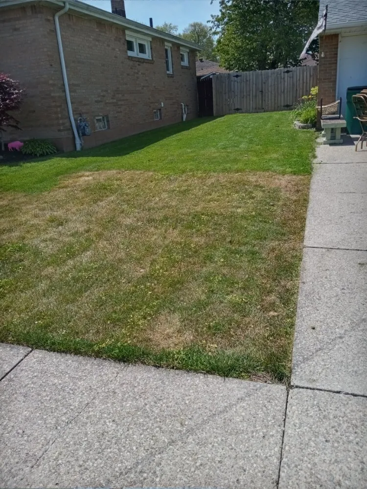 Trusted landscaping services with custom design across Buffalo, NY - Tw Landscaping