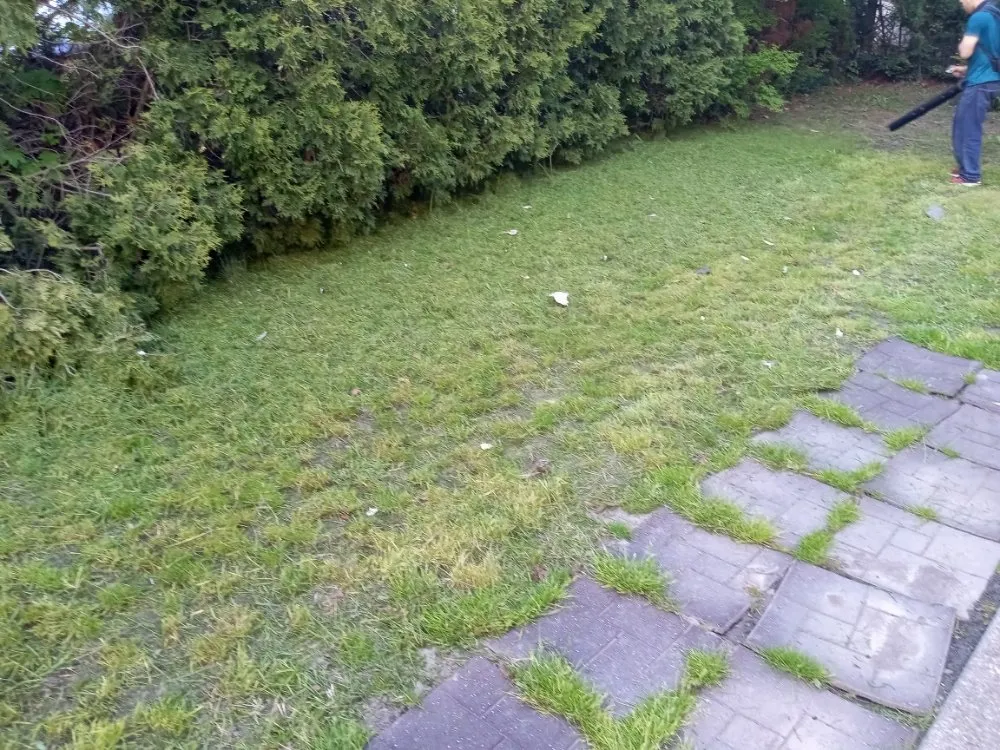 Local landscaping services for year-round maintenance in Buffalo, NY by Tw Landscaping