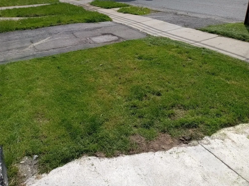 Trusted outdoor landscaping in Buffalo, NY by Tw Landscaping