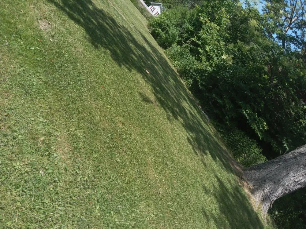 Local garden landscaping experts serving Buffalo, NY - Tw Landscaping