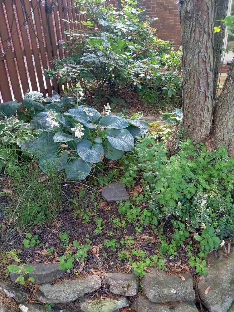 Reliable garden landscaping in Buffalo, NY by Tw Landscaping