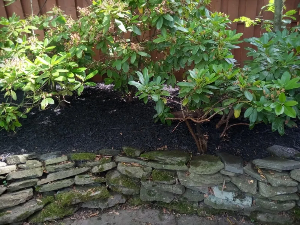 Professional outdoor landscaping near you in Buffalo, NY by Tw Landscaping