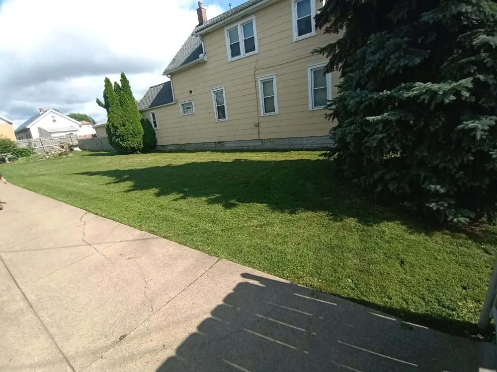 Local yard cleanup service experts serving Buffalo, NY - Tw Landscaping