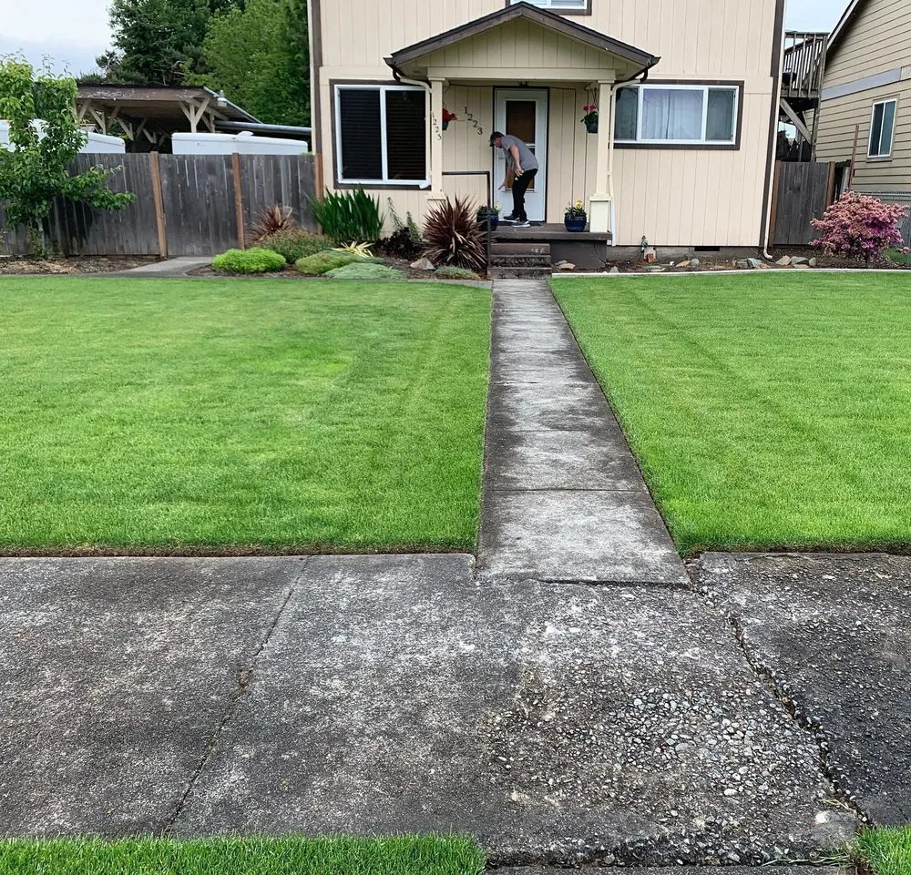 Affordable lawn care service for year-round maintenance in Puyallup, WA by TW Landscaping