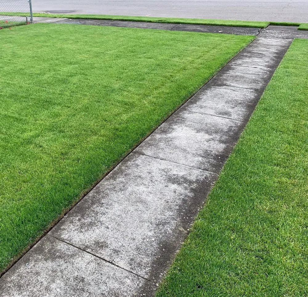 Expert lawn mowing service in Puyallup, WA by TW Landscaping