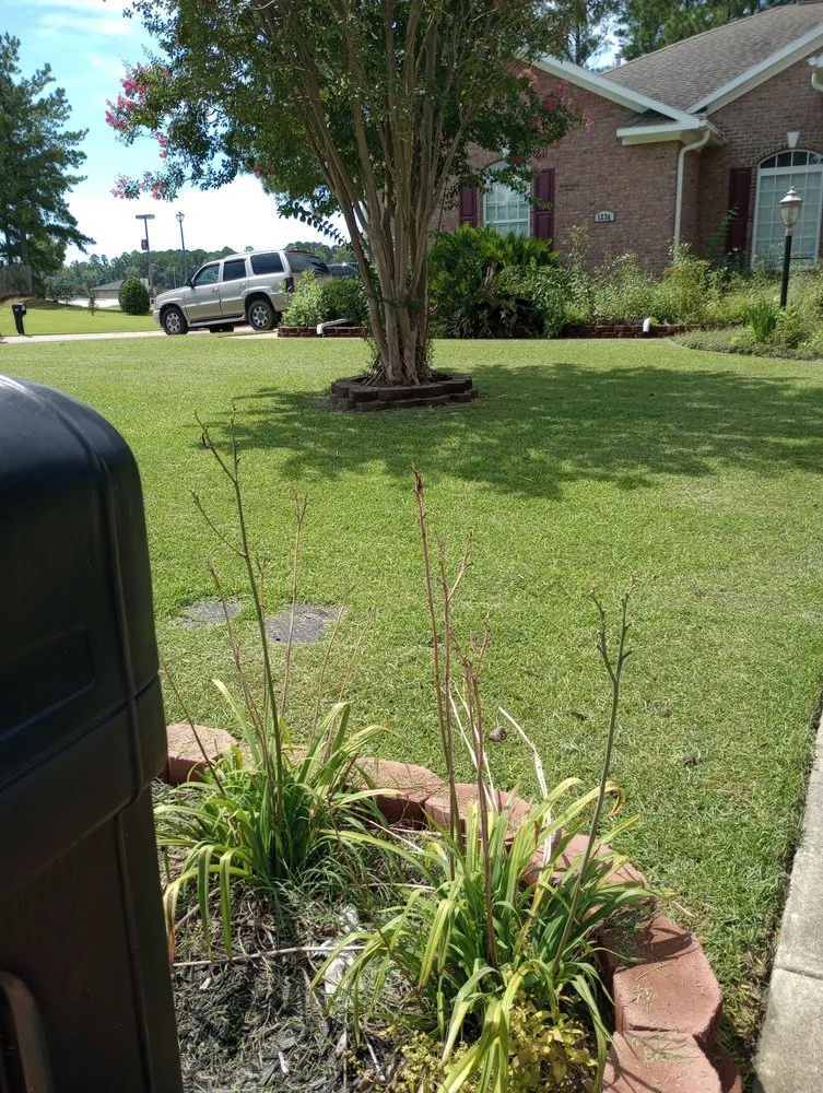 Expert yard maintenance experts serving White Oak, NC - Tw Lawn Care