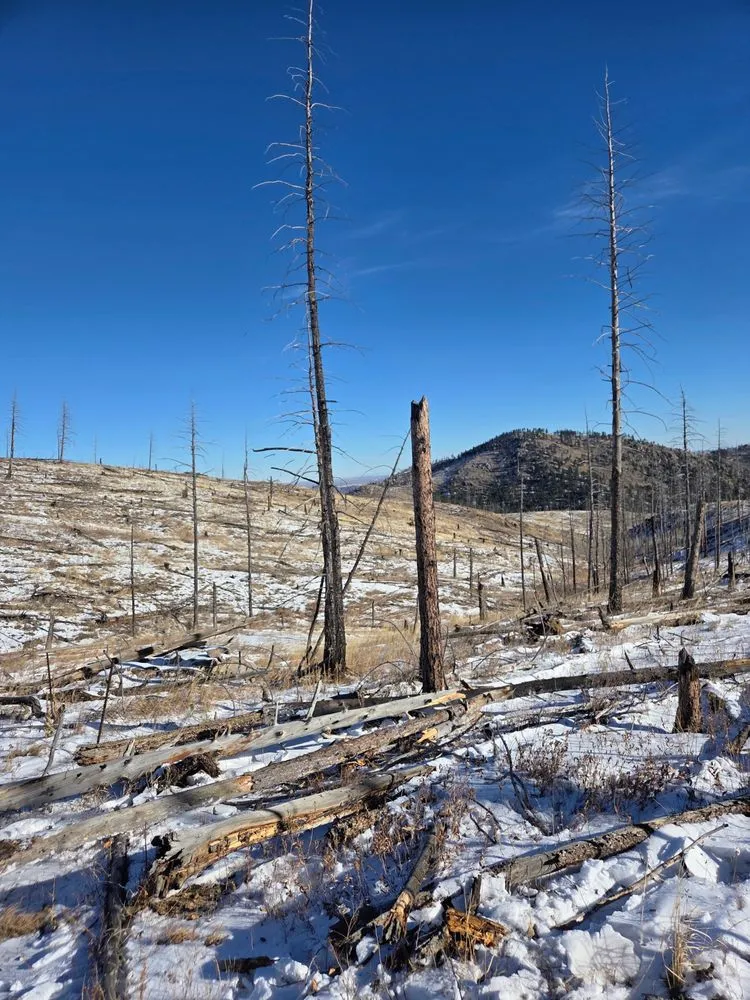 Affordable yard maintenance in Spencer, IA - Tw Service