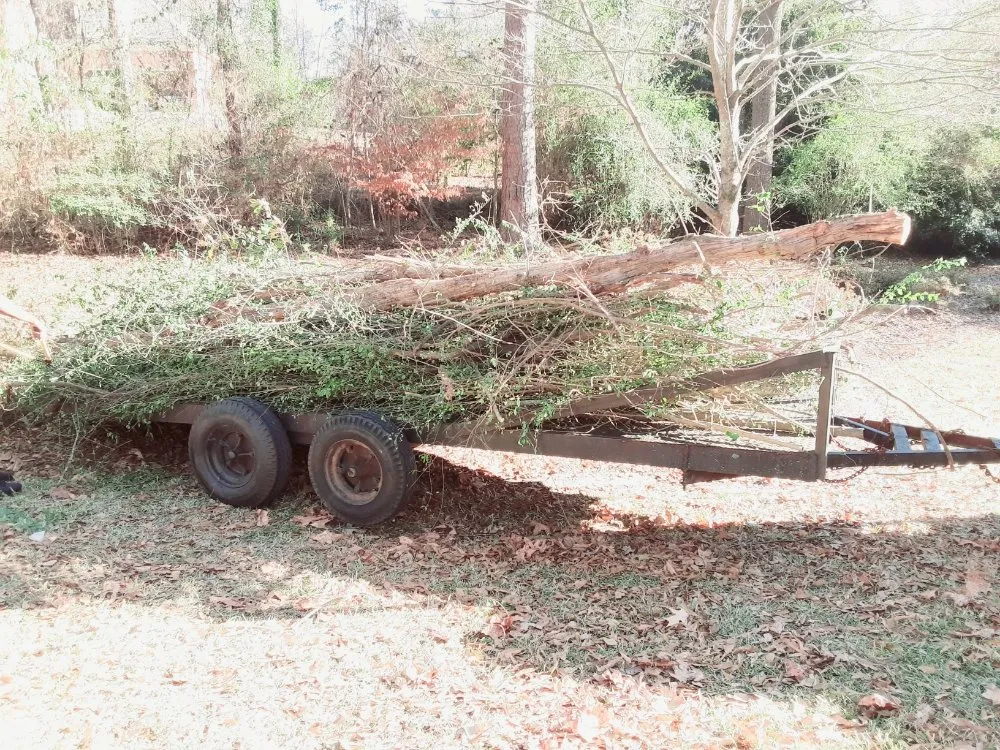 Expert lawn mowing service experts serving Warner Robin's, GA - Twanz_D.I.A Services