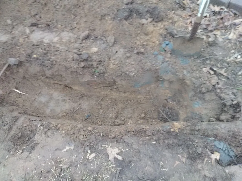 Custom yard cleanup service experts serving Warner Robin's, GA - Twanz_D.I.A Services