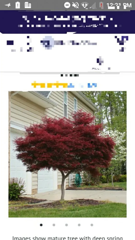 Custom garden landscaping in Warner Robin's, GA - Twanz_D.I.A Services
