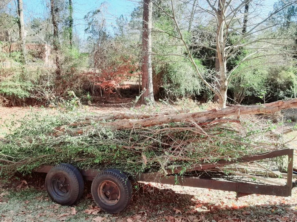 Professional outdoor landscaping in Warner Robin's, GA - Twanz_D.I.A Services
