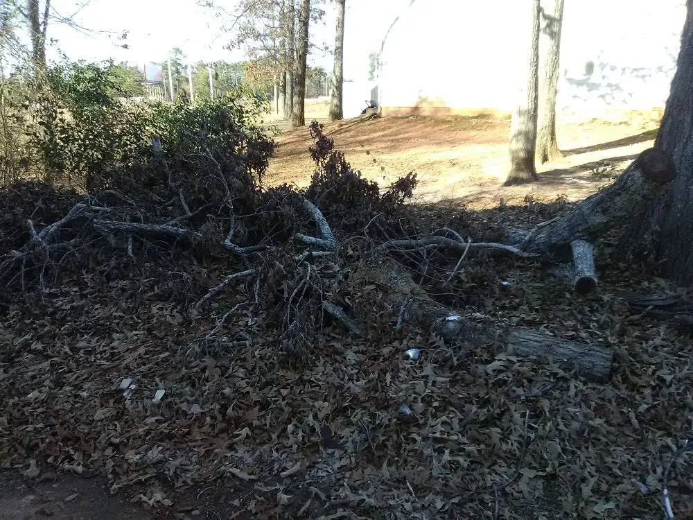 Trusted yard maintenance for residential properties across Warner Robin's, GA - Twanz_D.I.A Services