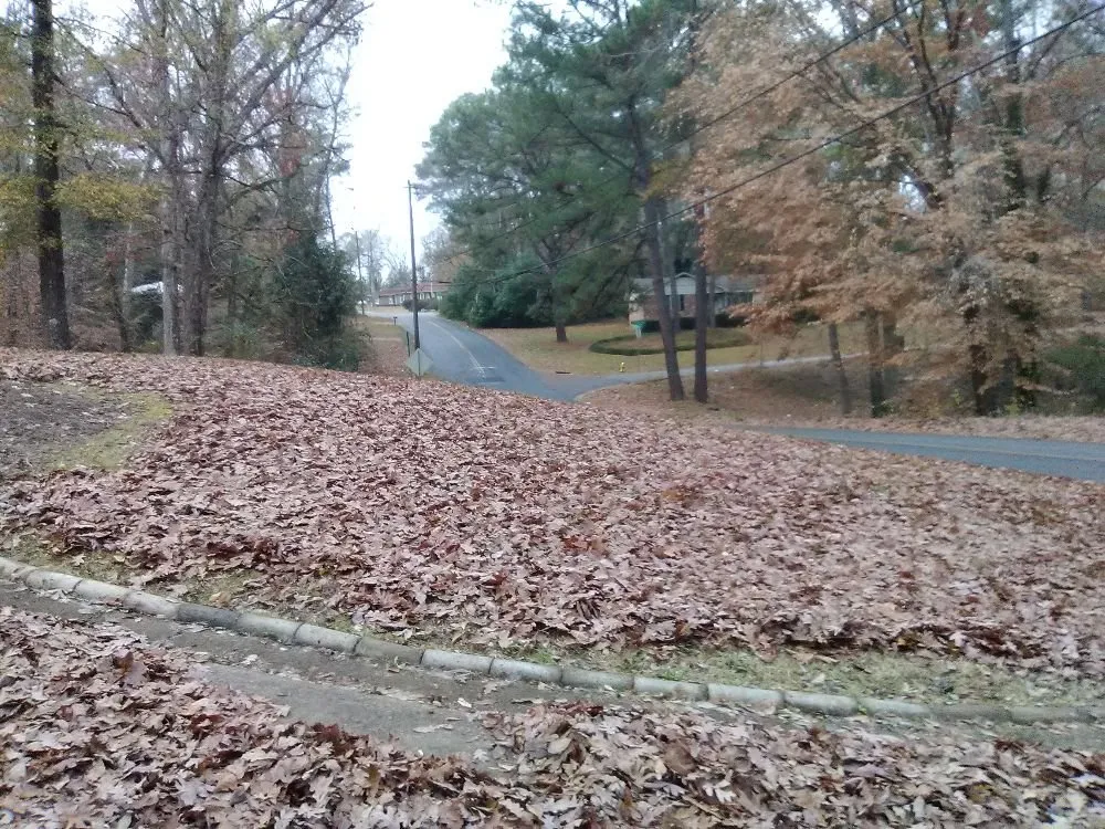 Local garden landscaping for residential properties across Warner Robin's, GA - Twanz_D.I.A Services