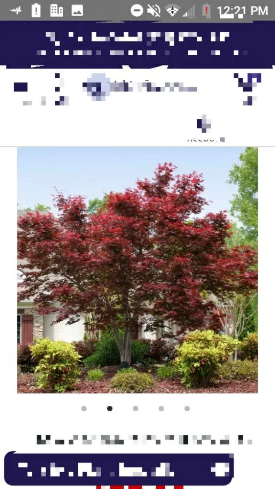 Top-rated yard cleanup service experts serving Warner Robin's, GA - Twanz_D.I.A Services