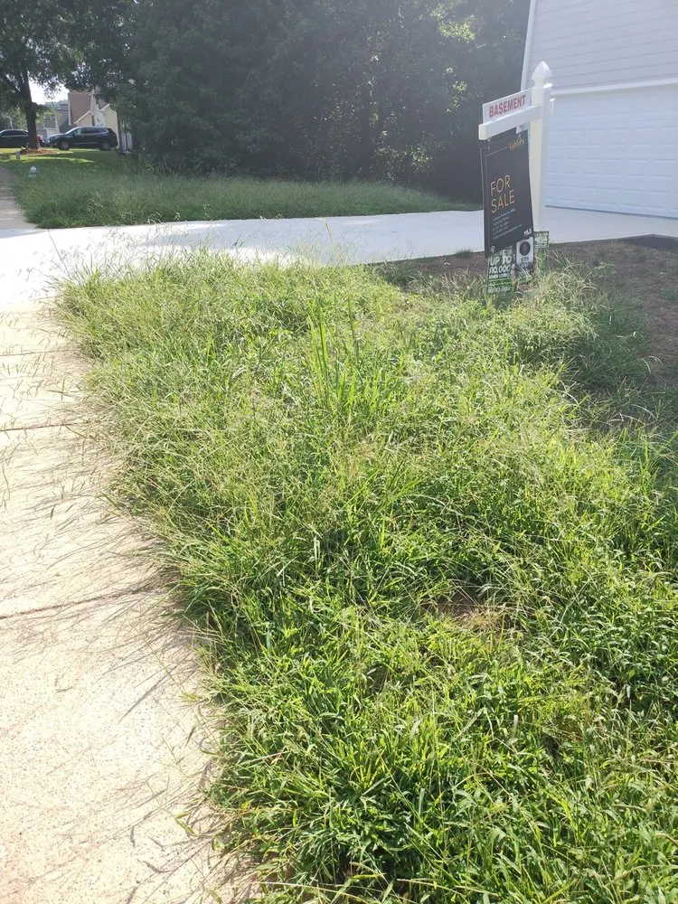 Custom lawn care service in Atlanta, GA by Twaun & Son