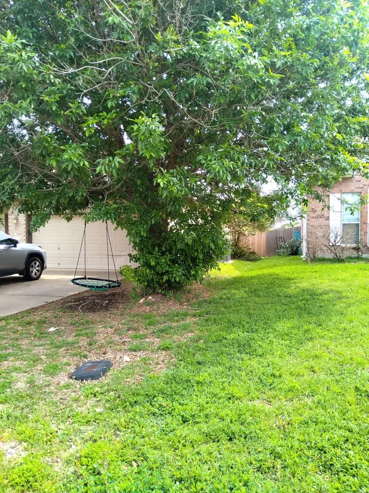 Top-rated yard maintenance for beautiful yards across Killeen, TX - TweeLee Landscaping & Lawn Services