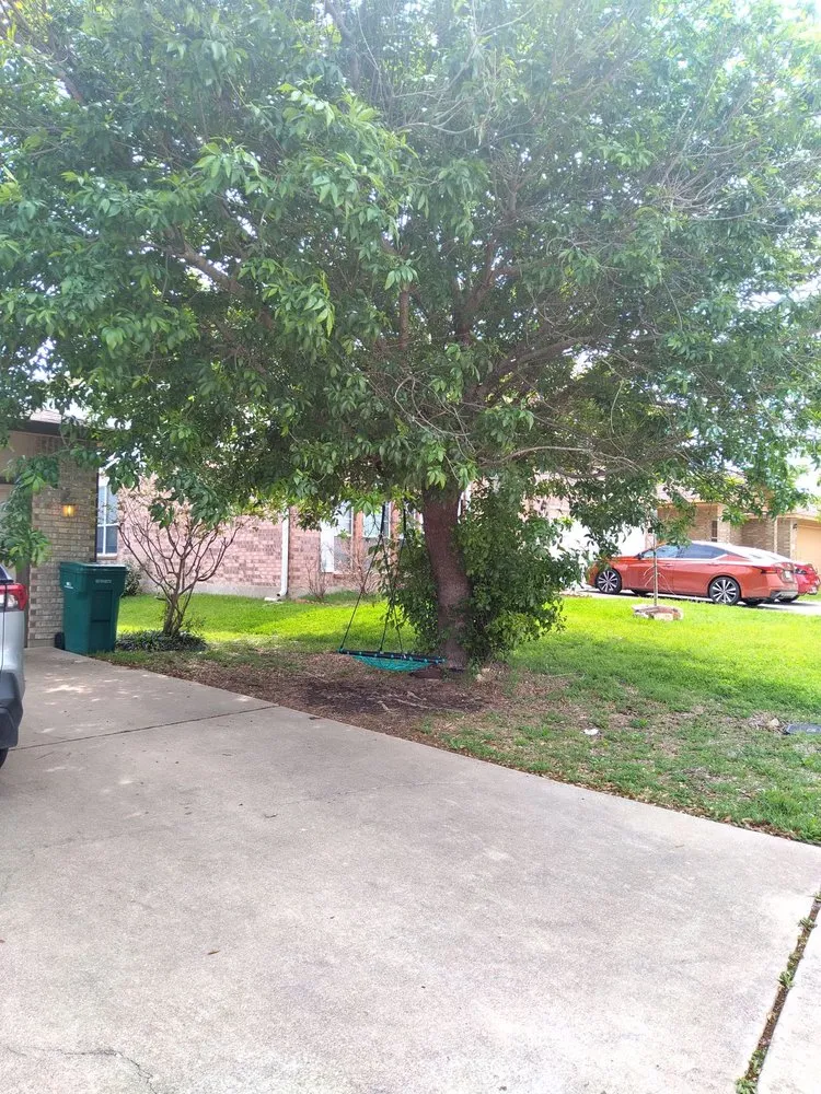 Reliable yard cleanup service for outdoor upgrades in Killeen, TX by TweeLee Landscaping & Lawn Services