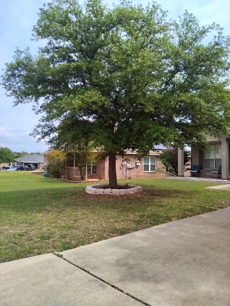 Trusted residential landscaping in Killeen, TX - TweeLee Landscaping & Lawn Services