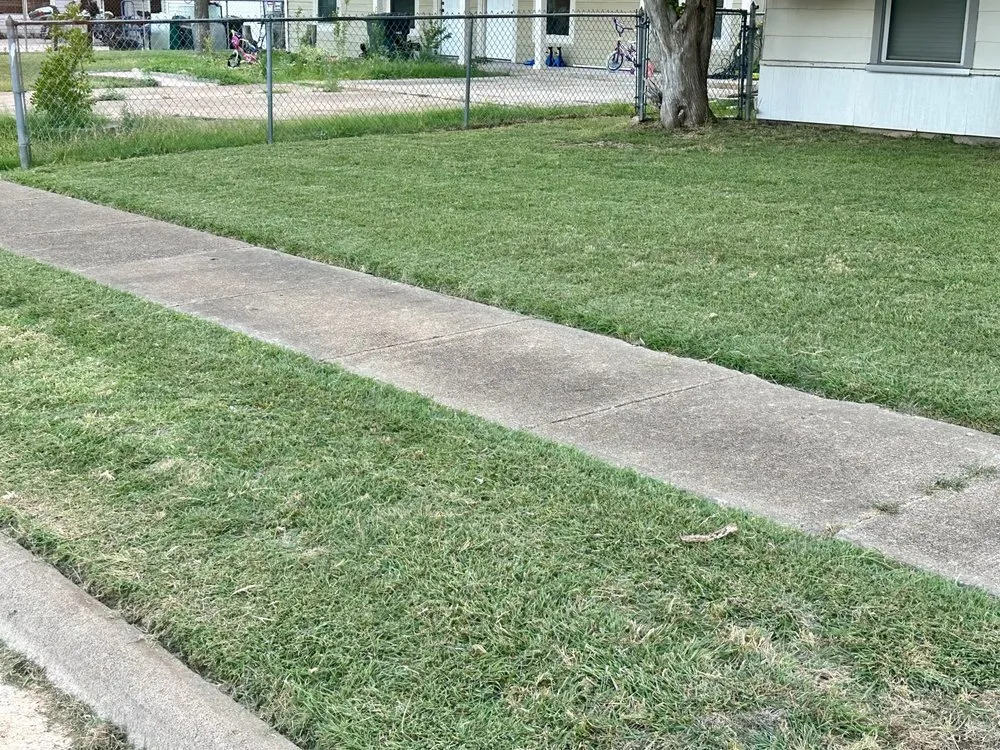 Reliable landscape design for year-round maintenance across Killeen, TX - TweeLee Landscaping & Lawn Services