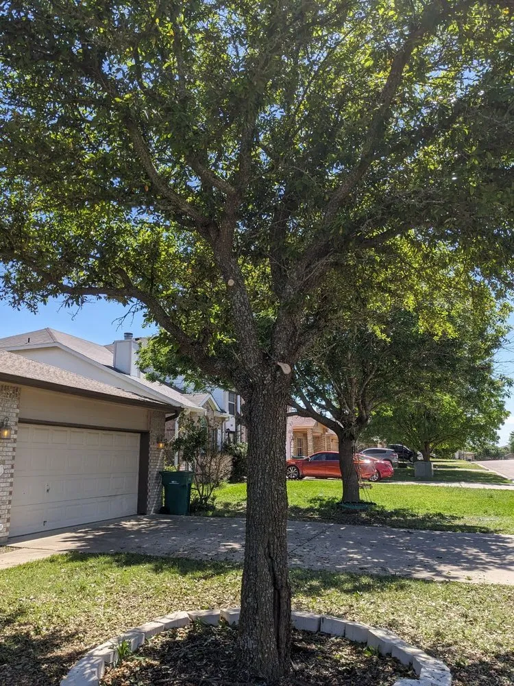 Trusted outdoor landscaping experts serving Killeen, TX - TweeLee Landscaping & Lawn Services