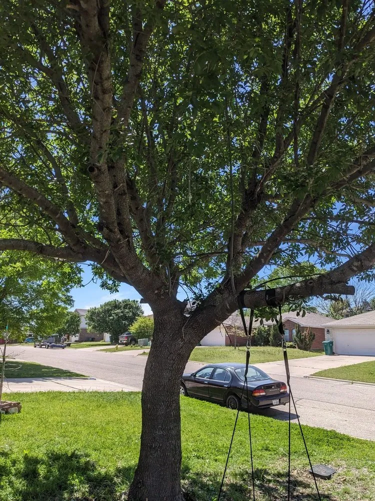 Expert landscaping services experts serving Killeen, TX - TweeLee Landscaping & Lawn Services