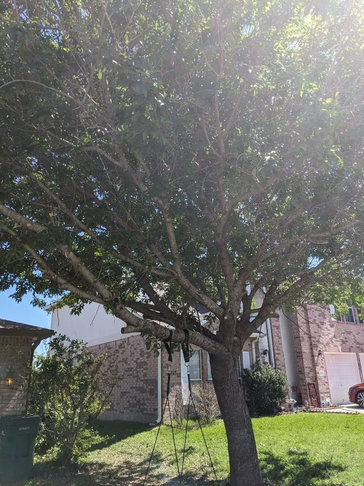 Custom landscape design in Killeen, TX by TweeLee Landscaping & Lawn Services