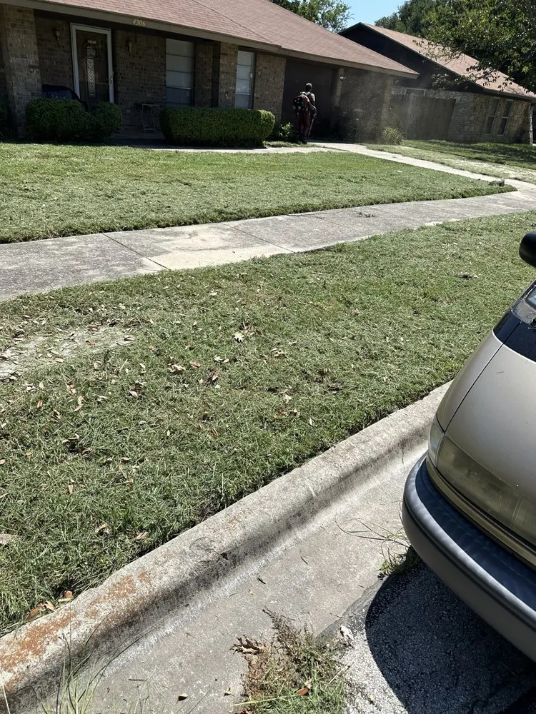 Local yard cleanup service in Killeen, TX - TweeLee Landscaping & Lawn Services