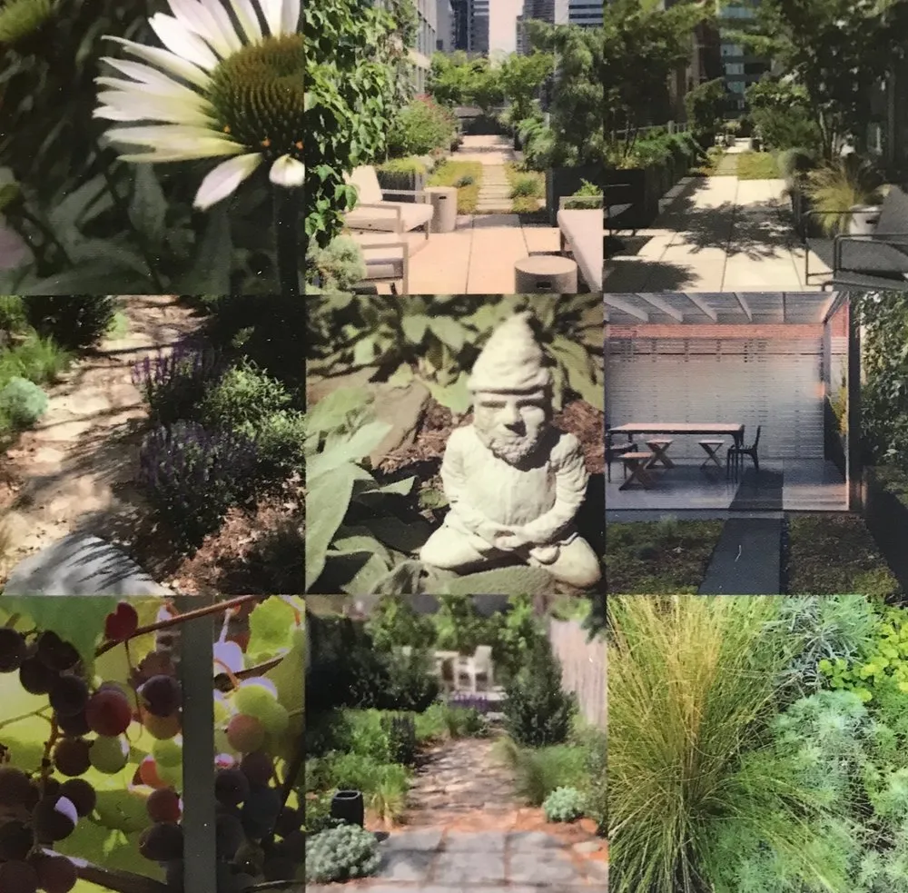 Professional lawn mowing service in Manhattan, NY by Twelve Gardens