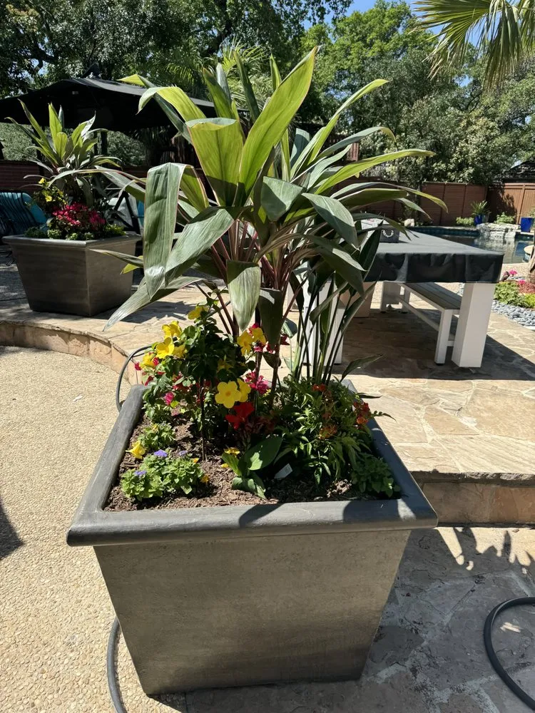 Local yard cleanup service for year-round maintenance in Austin, TX by Twelve Point Landscaping