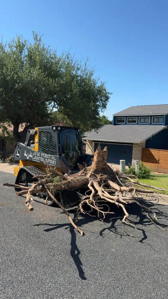 Affordable landscaping services in Austin, TX - Twelve Point Landscaping